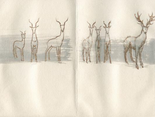 <B>Bestiaire</B> © <I>Irène Dacunha</I>