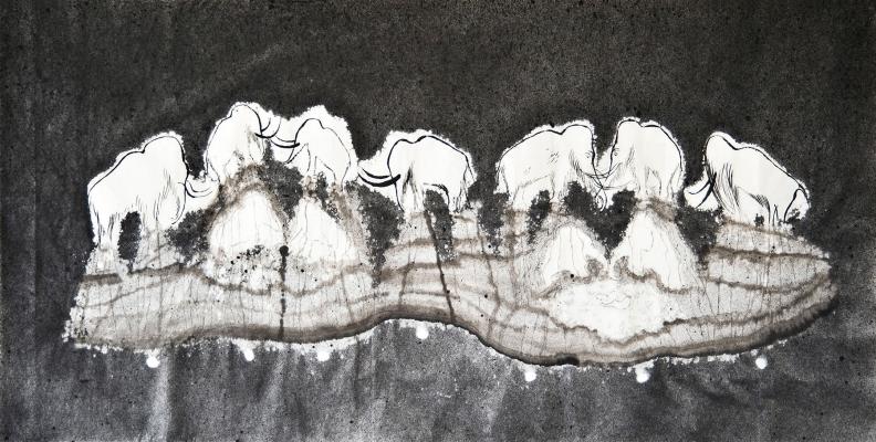 <B>Bestiaire</B> © <I>Irène Dacunha</I>