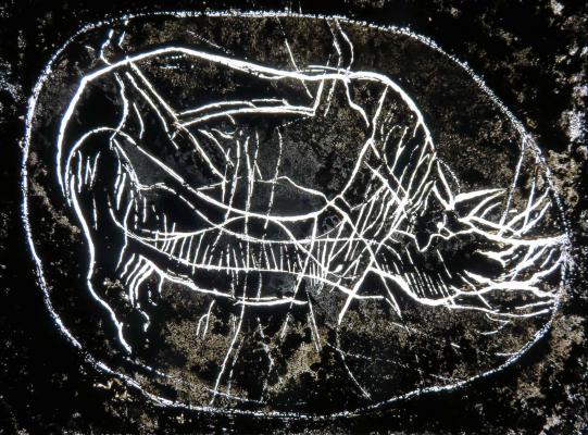 <B>Rhinocéros et cervidé superposés, gravés sur galet</B> © <I>Irène Dacunha</I>