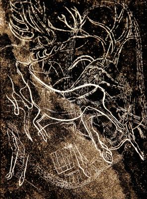 <B>Renne élancé</B> © <I>Irène Dacunha</I>